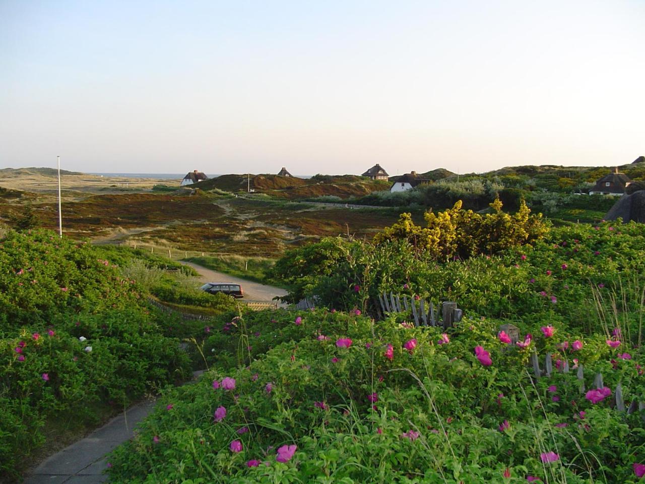 Giebelhaus Frida - Sylt, Βέστερλαντ Εξωτερικό φωτογραφία